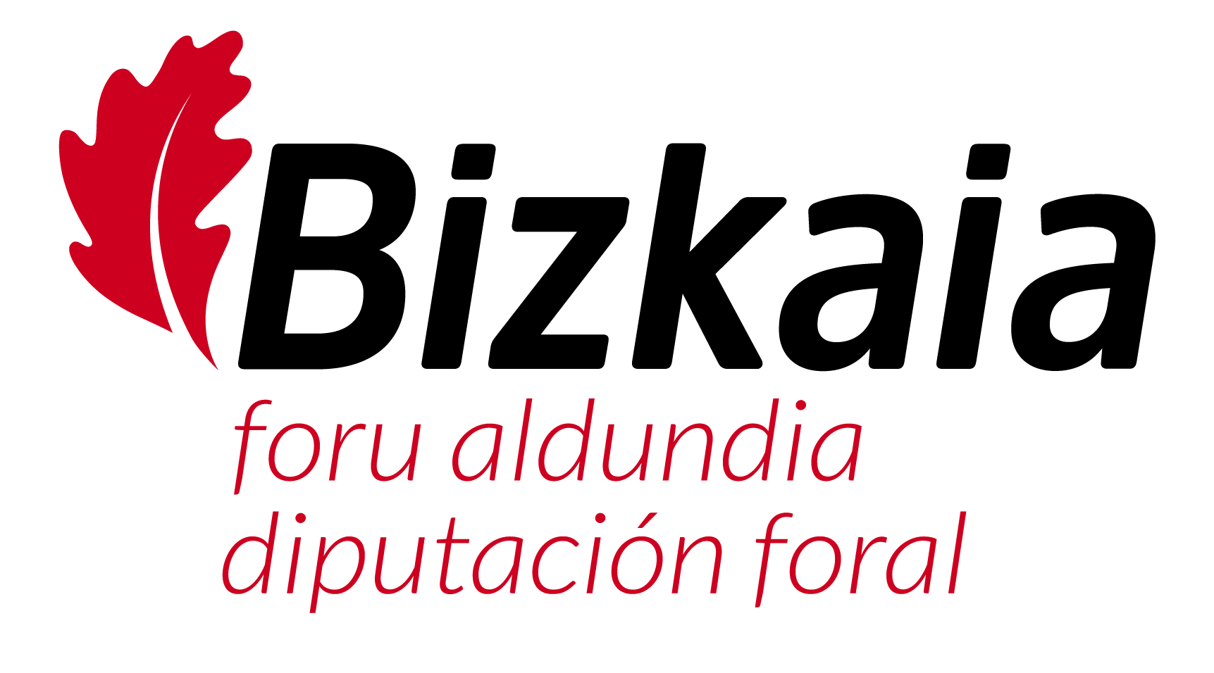 logo de Diputación Foral Bizkaia
